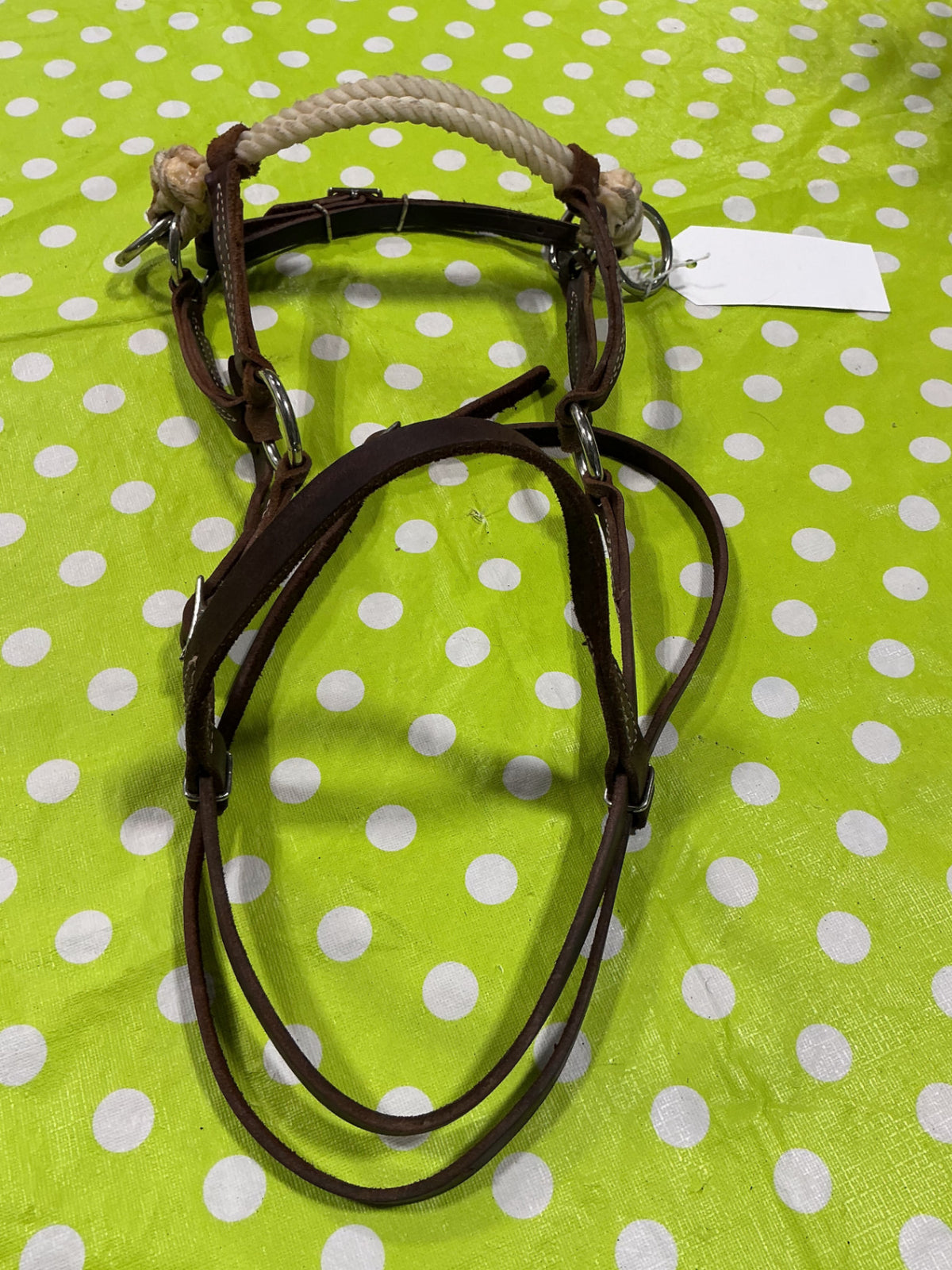 Western bitless sidepull bridle