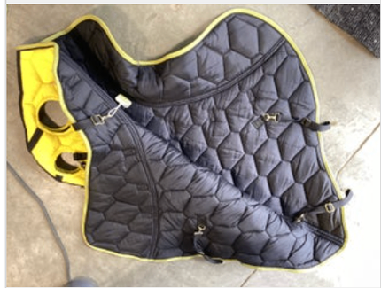 Neck only Winter Yellow Medium