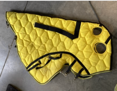Neck only Winter Yellow Medium