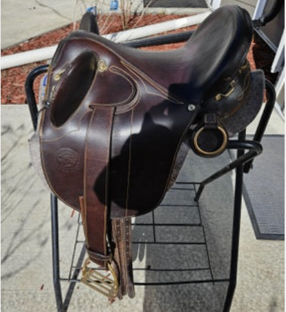 Australian Saddle Bad Dog Ranch  Stock