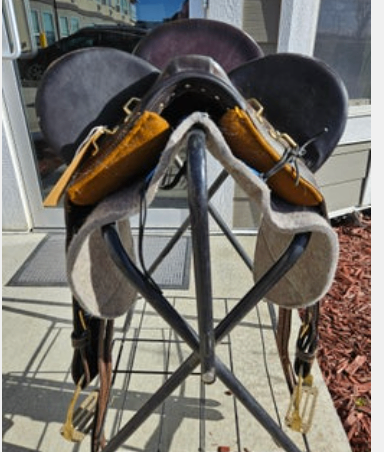 Australian Saddle Bad Dog Ranch  Stock
