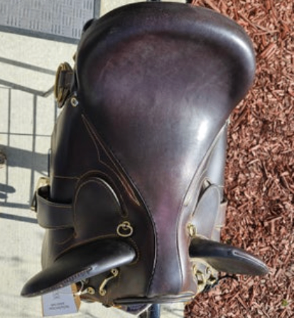 Australian Saddle Bad Dog Ranch  Stock