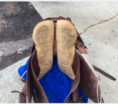 australian Saddle S16"