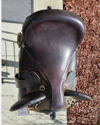 Australian Saddle Bad Dog Ranch  Stock
