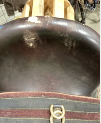 Australian Saddle StockMan 16"