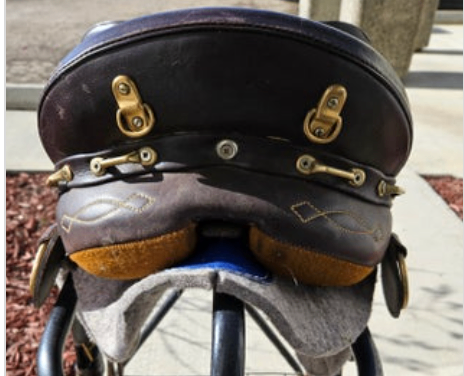 Australian Saddle Bad Dog Ranch  Stock