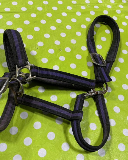 Halter Nylon Purple/Black Horse Size