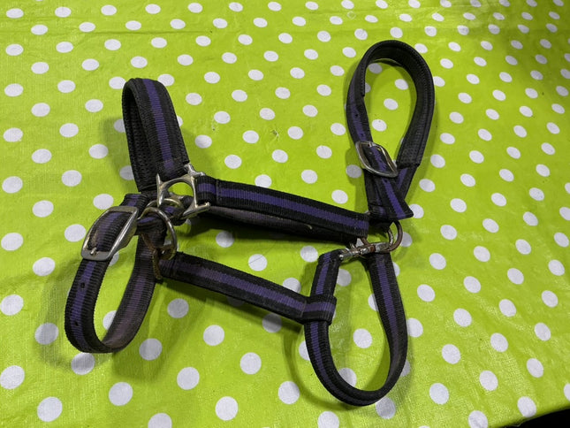 Halter Nylon Purple/Black Horse Size