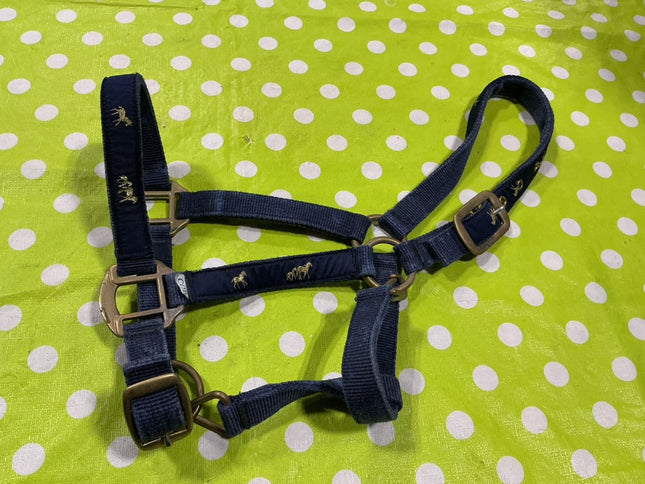 Halter Nylon Blue Cob Size
