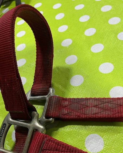 Halter Nylon Red Large