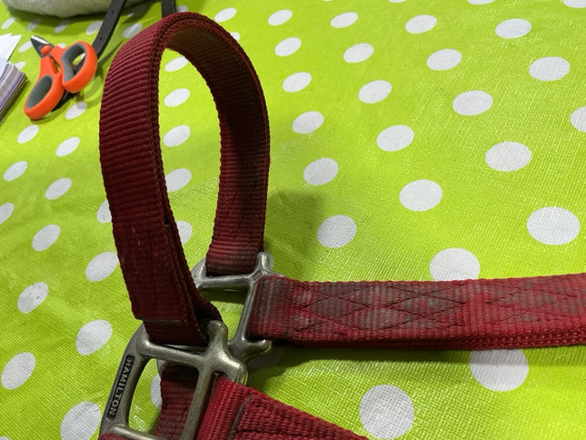 Halter Nylon Red Large