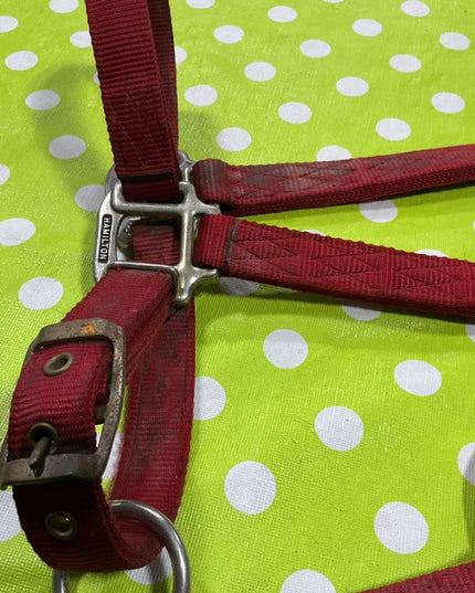 Halter Nylon Red Large