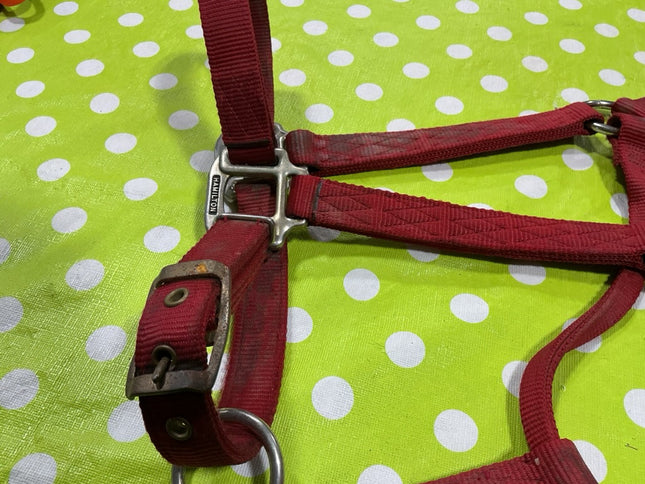 Halter Nylon Red Large