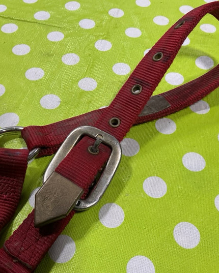 Halter Nylon Red Large