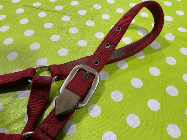 Halter Nylon Red Large