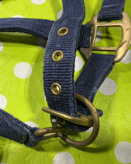 Halter Nylon Blue Cob Size