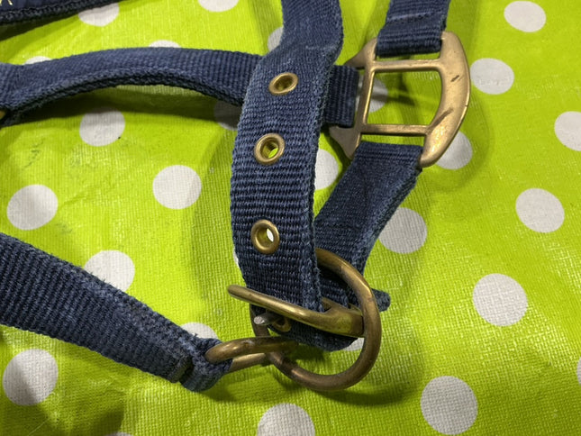 Halter Nylon Blue Cob Size
