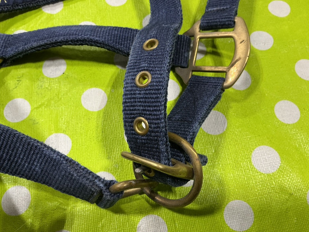 Halter Nylon Blue Cob Size