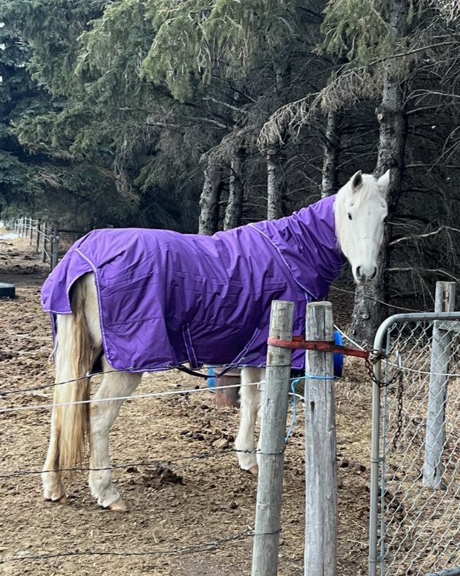 Winter Blanket – USED1680D 360g, Purple, 75" Detachable Neck