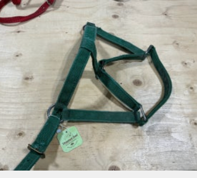 Halter nylon green