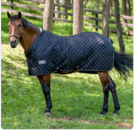Winter Liner – TuffRider Kozy Komfort 420D 220g, Black, 75" | New with Tags
