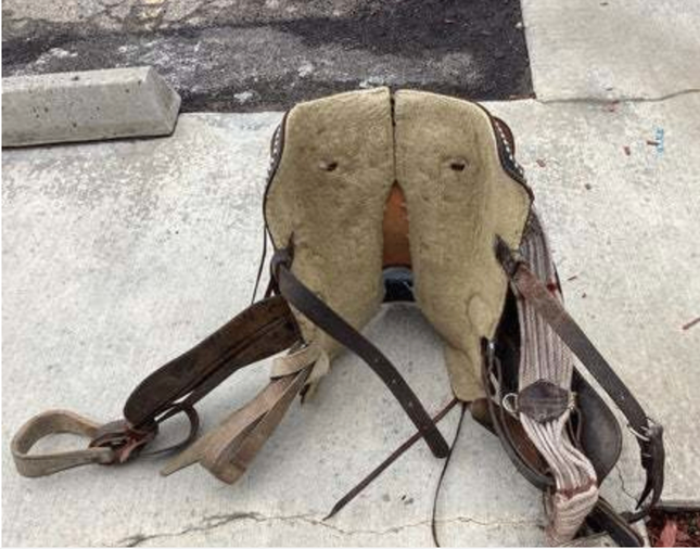 Western Saddle 15" 