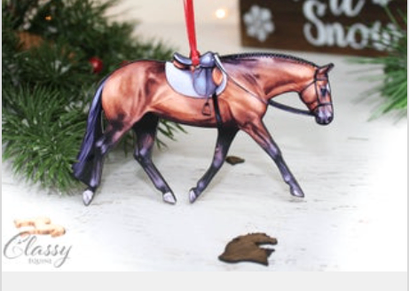 Ornament Bay English Pleasure Quarter Horse