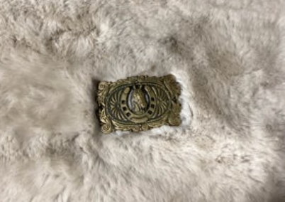 Belt Buckle Gold Color