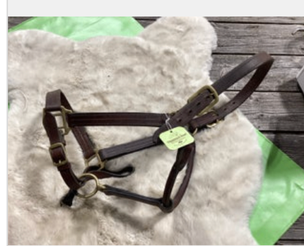 Leather Halter LG Horse