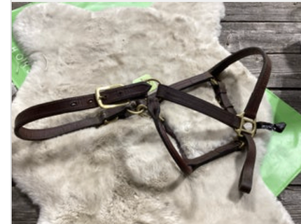 Leather Halter LG Horse