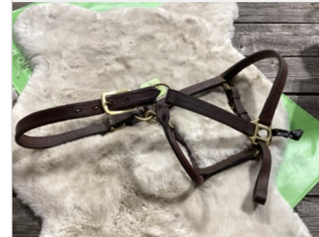 Leather Halter LG Horse