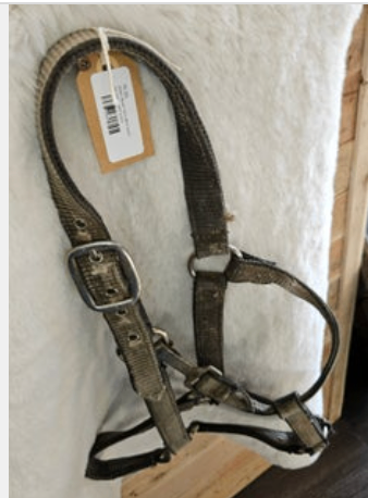 Halter Nylon Very Well loved