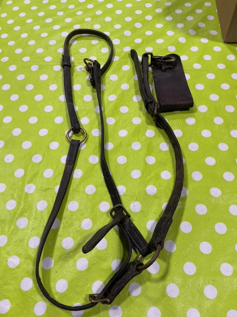 Martingale Running Training English Brown Leather