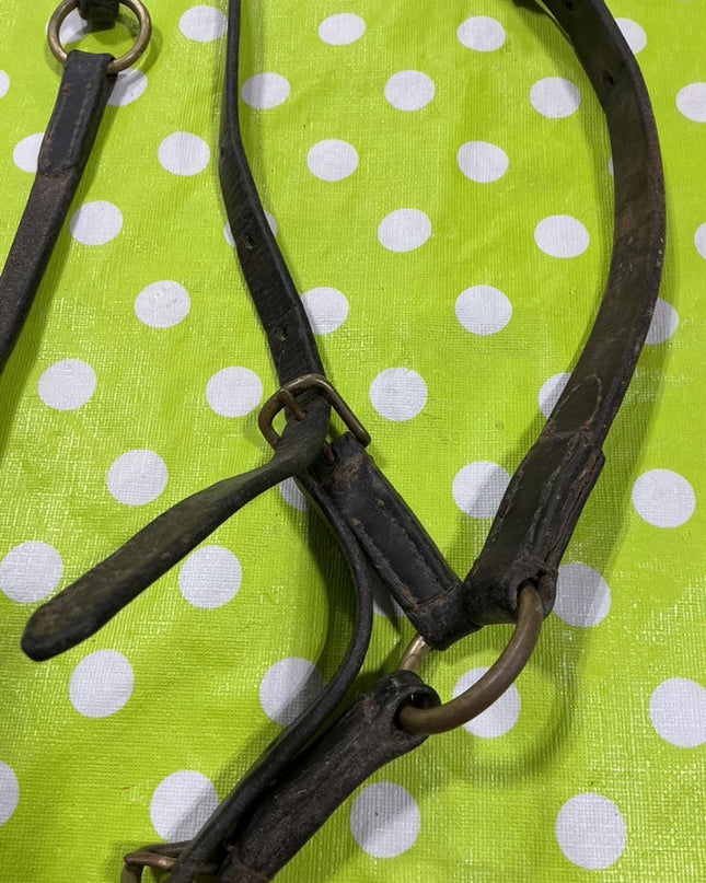 Martingale Running Training English Brown Leather