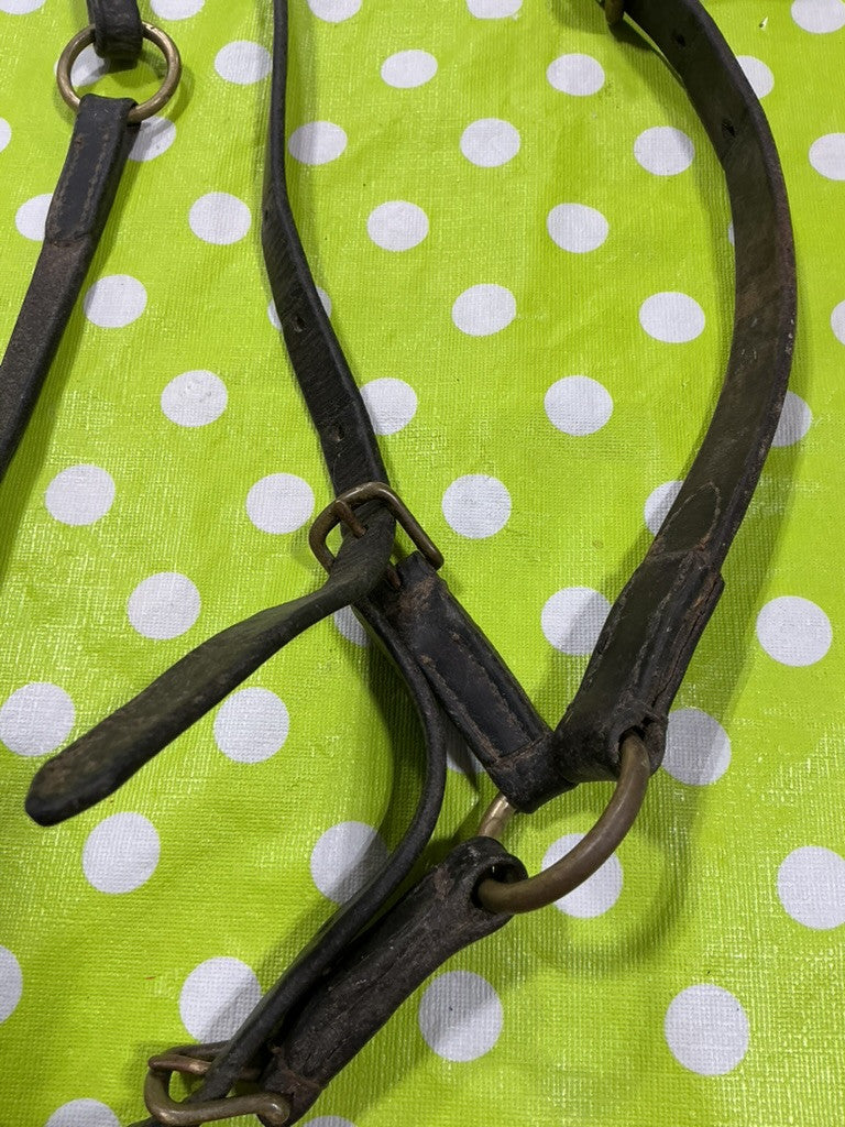 Martingale Running Training English Brown Leather