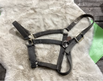 Halter Nylon Black Horse Size