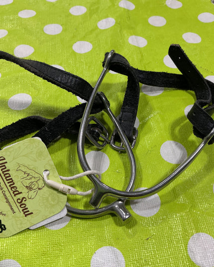 English Spurs prince of Wales Shorter