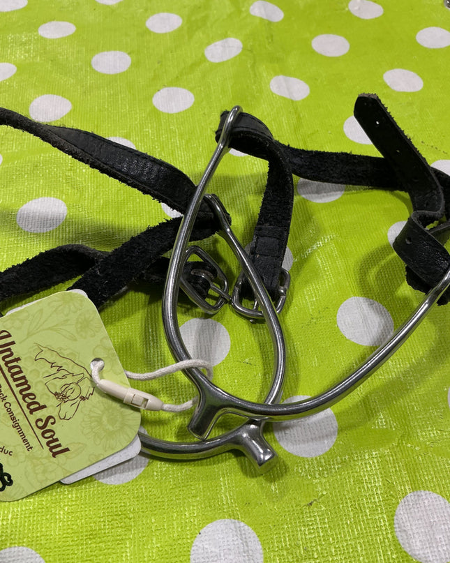 English Spurs prince of Wales Shorter