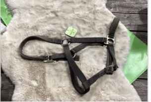 Halter Nylon Black Horse Size