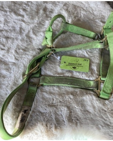 Halter Nylon Green Small