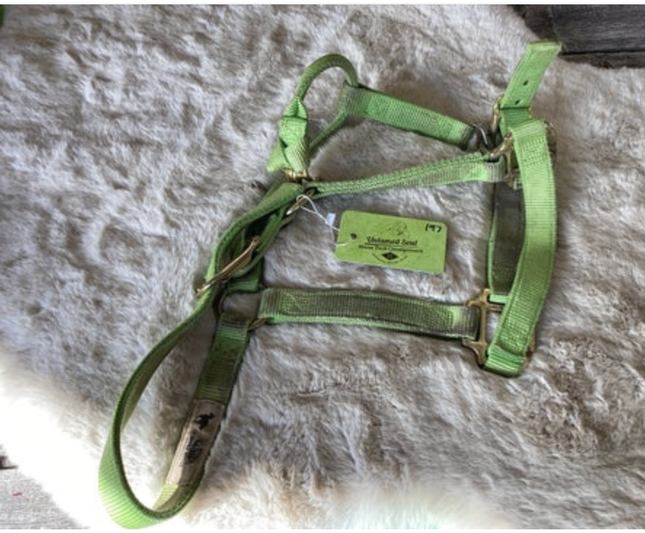 Halter Nylon Green Small