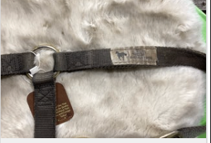 Halter Nylon Black Horse Size