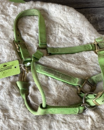 Halter Nylon Green Small