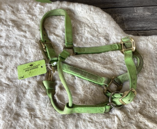 Halter Nylon Green Small