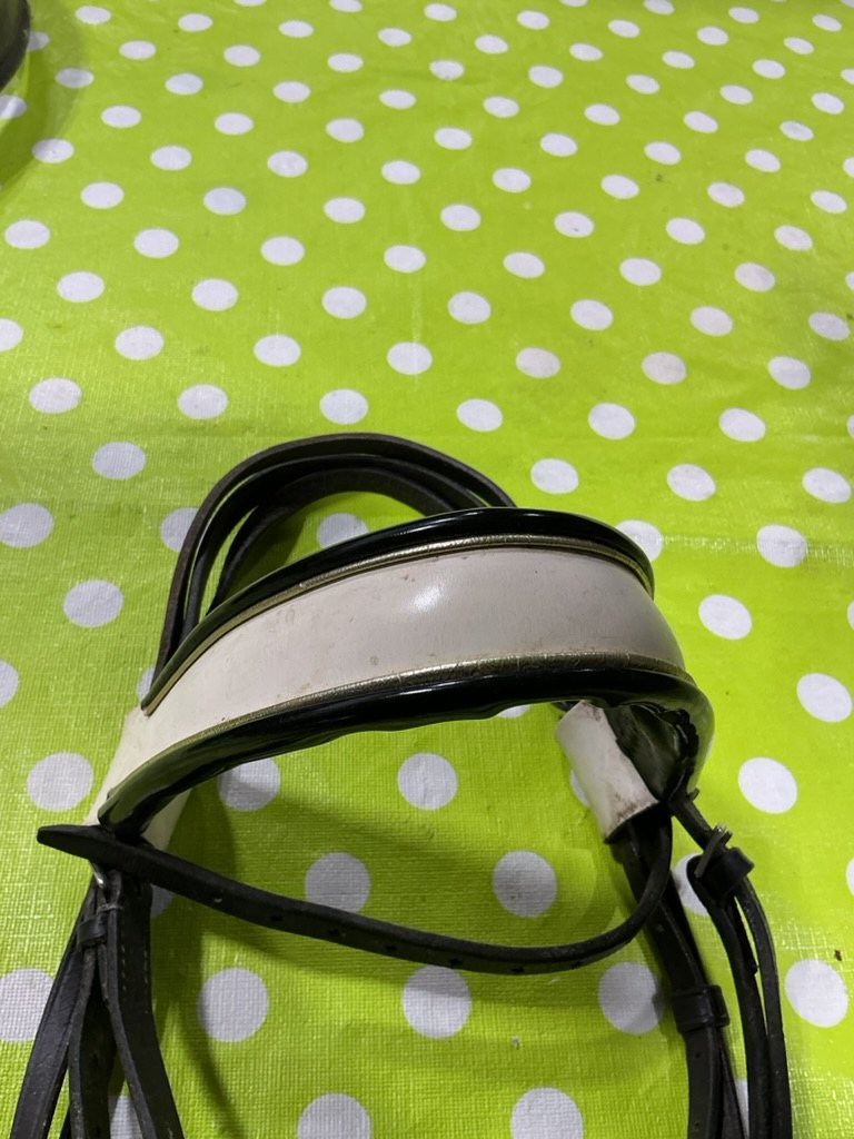 English Bridle Show White Browband