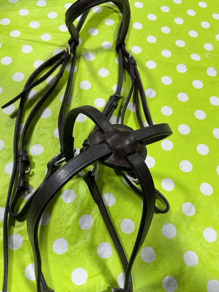 English Bridle Figure 8 Black Leather