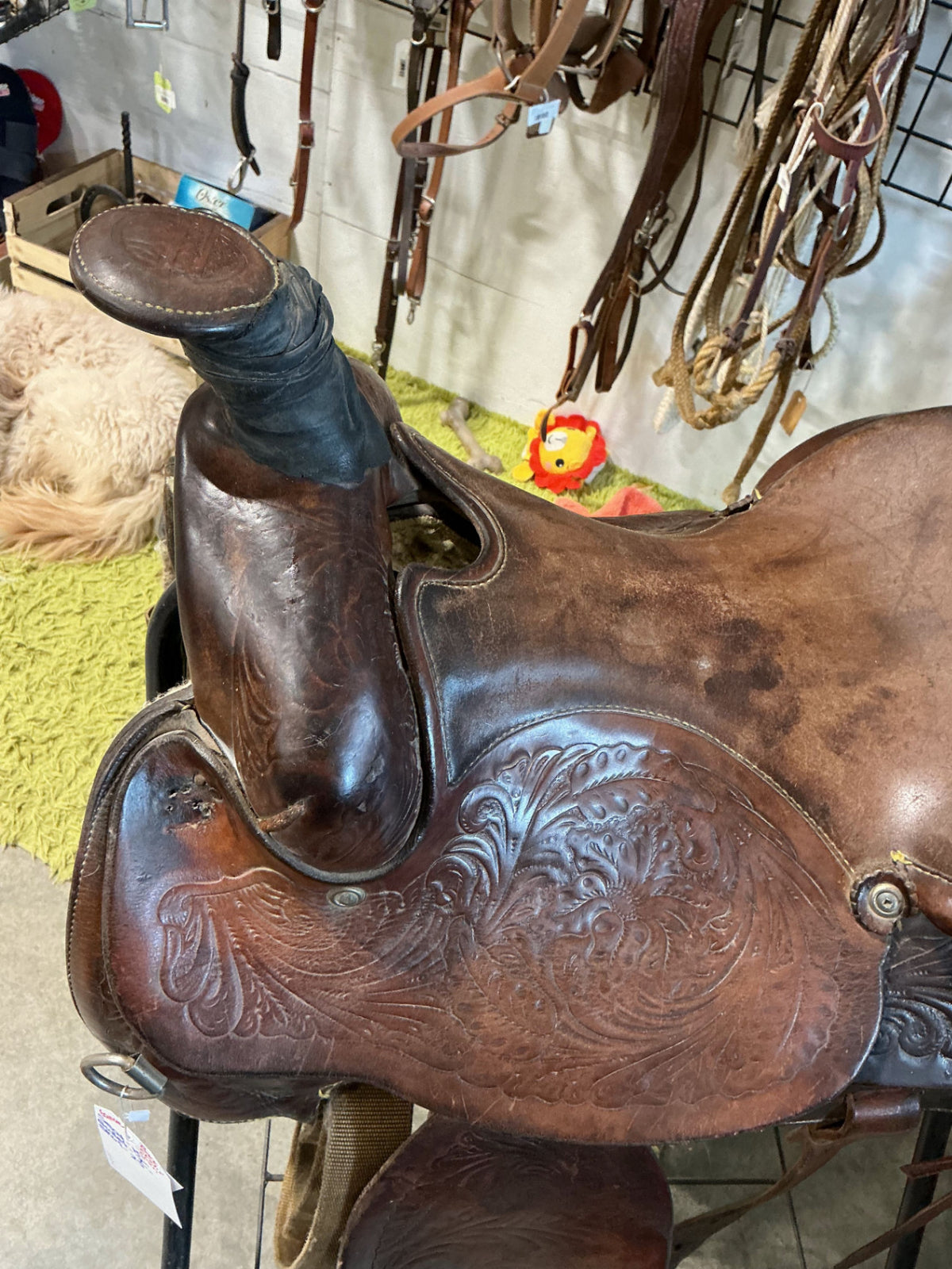 Western Saddle Rope Eamor S15" G7"