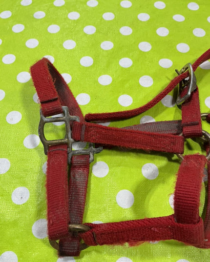 Halter Nylon Red Foal Size