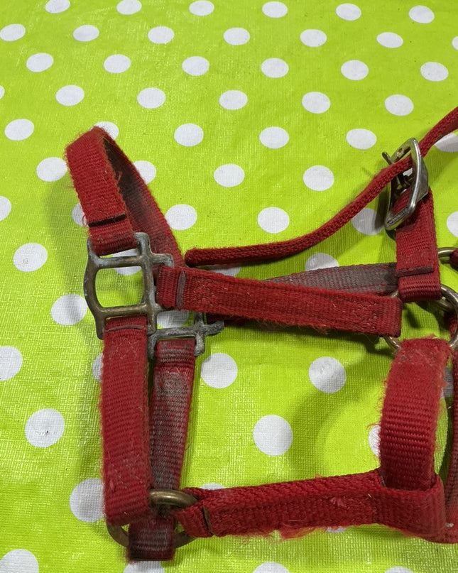 Halter Nylon Red Foal Size