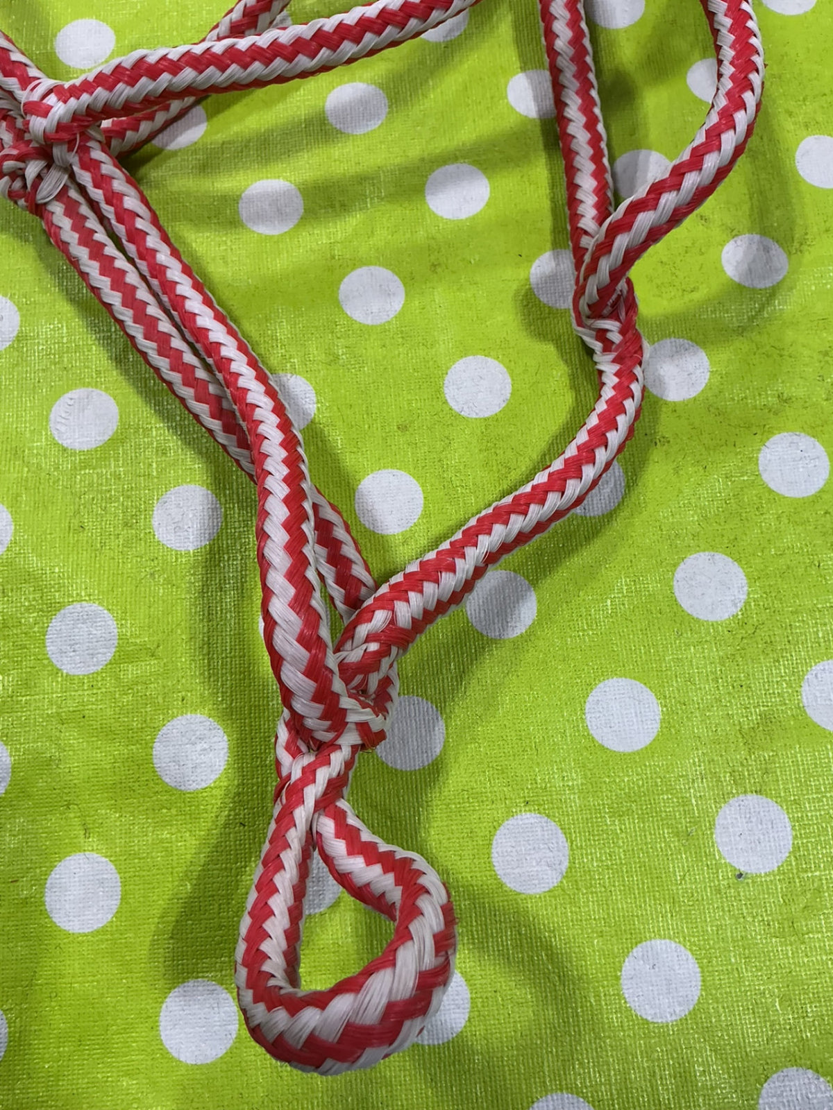 Halter Rope Red/white Horse Size